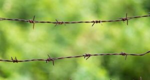 Two barbed wire fence with green background